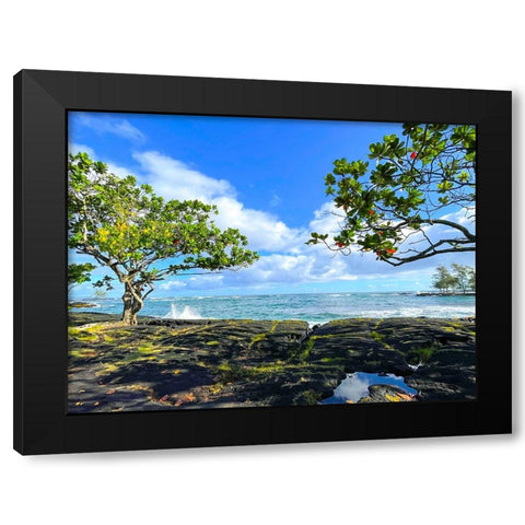 Tropical Autumn Morning Oceanrise Black Modern Wood Framed Art Print with Double Matting by Nebula, Melissa