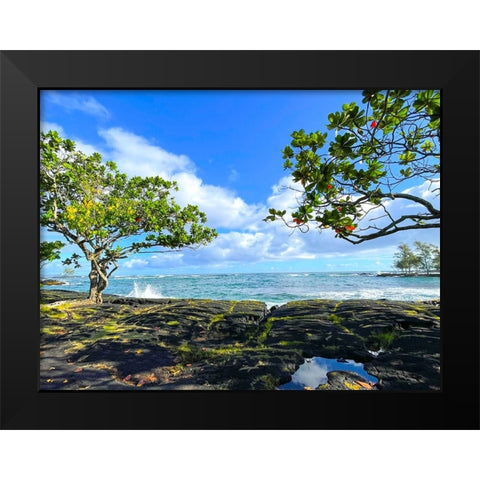 Tropical Autumn Morning Oceanrise Black Modern Wood Framed Art Print by Nebula, Melissa