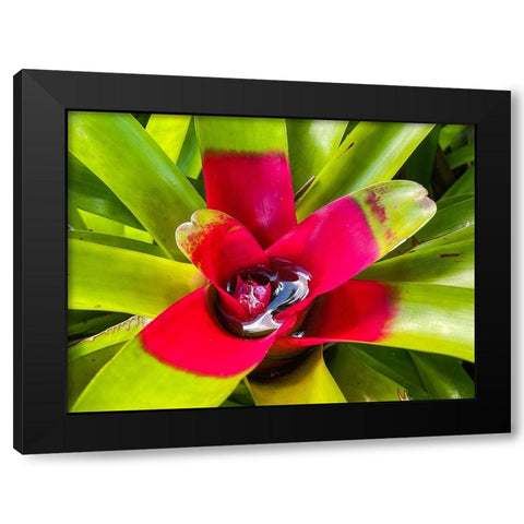 A Slow Sip Black Modern Wood Framed Art Print with Double Matting by Nebula, Melissa