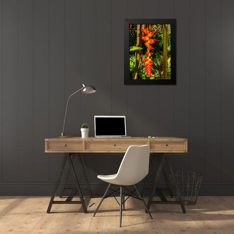 Heliconia Drop Black Modern Wood Framed Art Print by Nebula, Melissa
