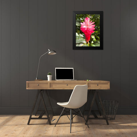 Blooming Sweetness Black Modern Wood Framed Art Print by Nebula, Melissa