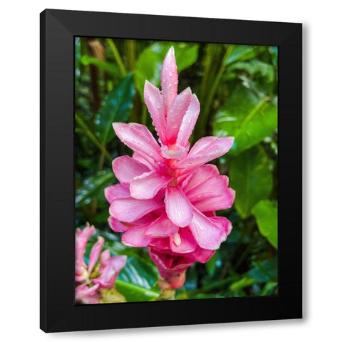 Floral Heart Bliss Black Modern Wood Framed Art Print by Nebula, Melissa