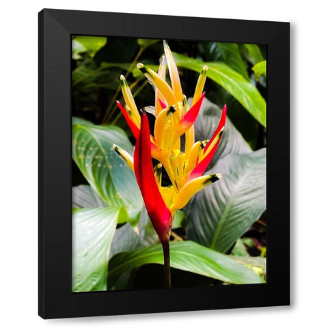 Reach for the Light Black Modern Wood Framed Art Print with Double Matting by Nebula, Melissa