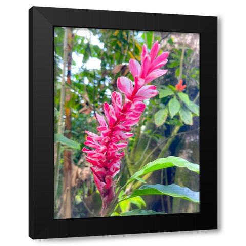 Ginger Stretch Black Modern Wood Framed Art Print with Double Matting by Nebula, Melissa