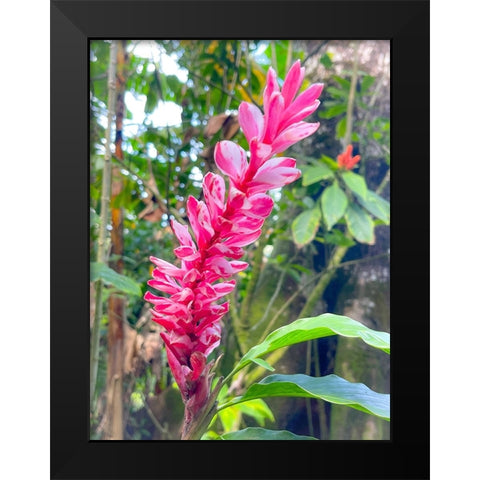 Ginger Stretch Black Modern Wood Framed Art Print by Nebula, Melissa