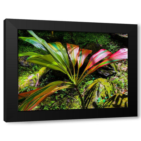 Striped Ti Black Modern Wood Framed Art Print with Double Matting by Nebula, Melissa