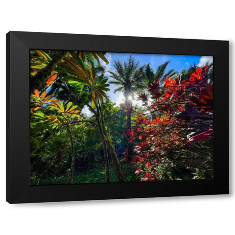 Tropical Melange Black Modern Wood Framed Art Print with Double Matting by Nebula, Melissa