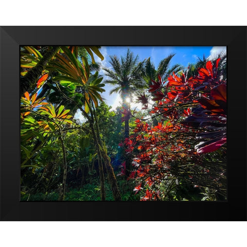 Tropical Melange Black Modern Wood Framed Art Print by Nebula, Melissa