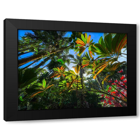Tropical Understory Black Modern Wood Framed Art Print with Double Matting by Nebula, Melissa
