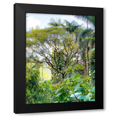 Botanical Junglescape Black Modern Wood Framed Art Print by Nebula, Melissa