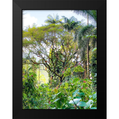 Botanical Junglescape Black Modern Wood Framed Art Print by Nebula, Melissa