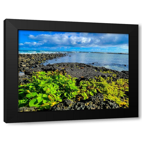Hilo Morning Rise Black Modern Wood Framed Art Print with Double Matting by Nebula, Melissa