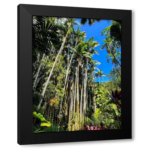 Reaching Palms Black Modern Wood Framed Art Print by Nebula, Melissa