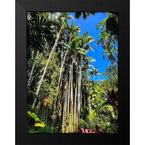 Reaching Palms Black Modern Wood Framed Art Print by Nebula, Melissa