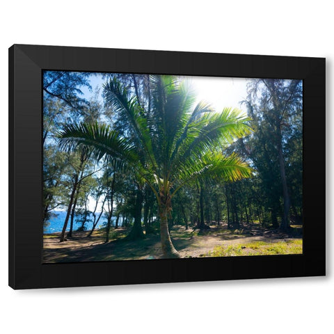 Palm 1 Black Modern Wood Framed Art Print by Nebula, Melissa
