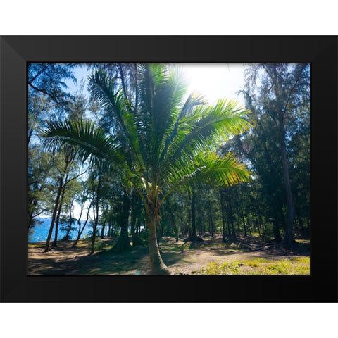 Palm 1 Black Modern Wood Framed Art Print by Nebula, Melissa