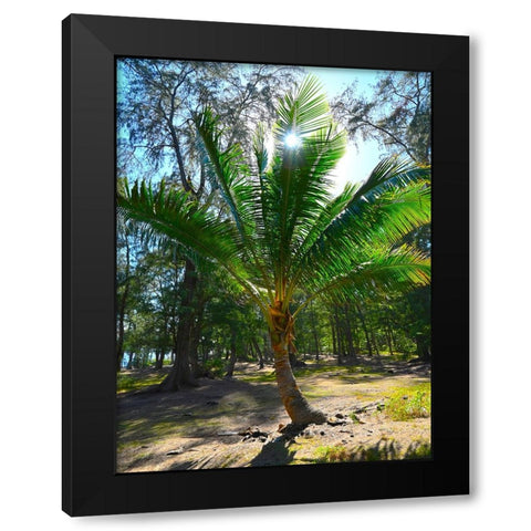 Palm 2 Black Modern Wood Framed Art Print with Double Matting by Nebula, Melissa