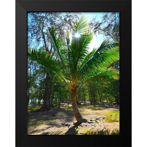 Palm 2 Black Modern Wood Framed Art Print by Nebula, Melissa
