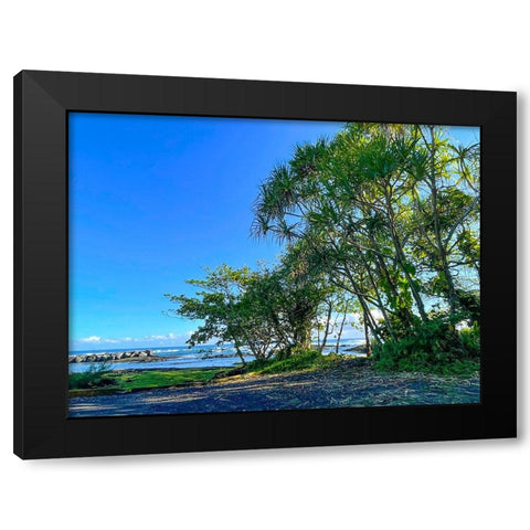 Hilo Shade Black Modern Wood Framed Art Print with Double Matting by Nebula, Melissa