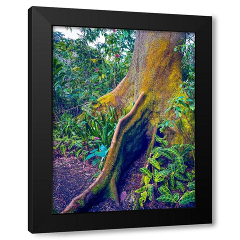 Walking Tree Black Modern Wood Framed Art Print by Nebula, Melissa