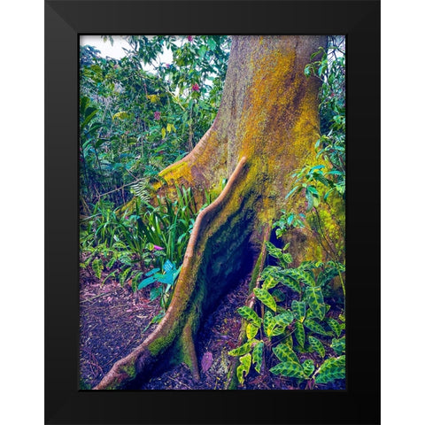 Walking Tree Black Modern Wood Framed Art Print by Nebula, Melissa