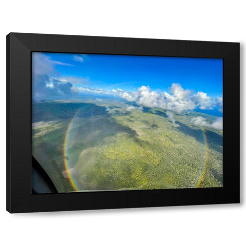 Full Circle Birds Eye Black Modern Wood Framed Art Print with Double Matting by Nebula, Melissa