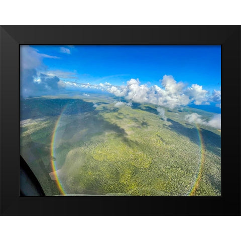 Full Circle Birds Eye Black Modern Wood Framed Art Print by Nebula, Melissa