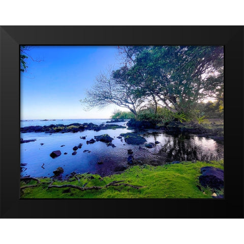 Still Of The Morning Black Modern Wood Framed Art Print by Nebula, Melissa