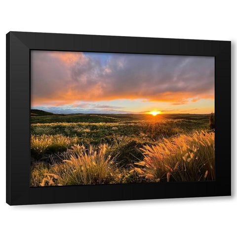 Sunset On Saddle Road Black Modern Wood Framed Art Print by Nebula, Melissa