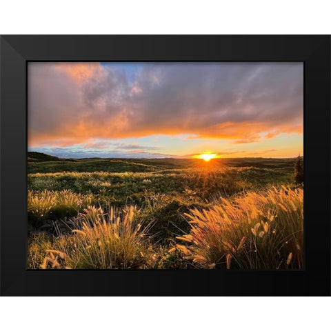 Sunset On Saddle Road Black Modern Wood Framed Art Print by Nebula, Melissa