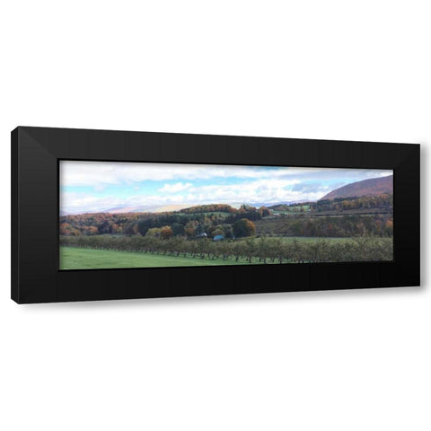 Seasons Change 2 Black Modern Wood Framed Art Print by Prime, Marcus