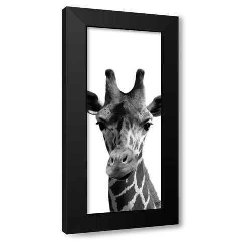 Thoughtful Giraffe Black Modern Wood Framed Art Print with Double Matting by Prime, Marcus