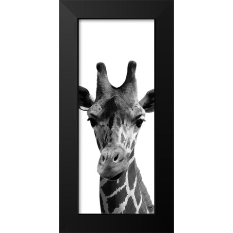 Thoughtful Giraffe Black Modern Wood Framed Art Print by Prime, Marcus