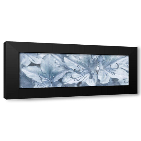 Simple Desires 2 Black Modern Wood Framed Art Print by Prime, Marcus