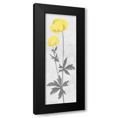 Shinning Bloom Black Modern Wood Framed Art Print by Prime, Marcus