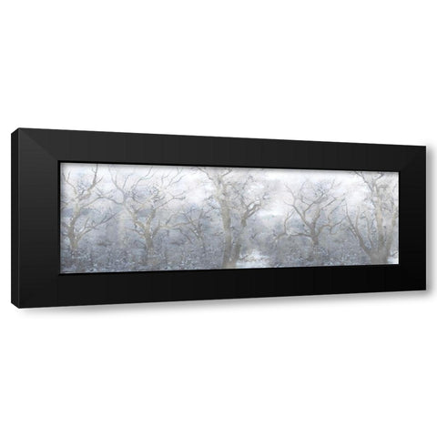 Mysterious Forest Black Modern Wood Framed Art Print with Double Matting by Prime, Marcus