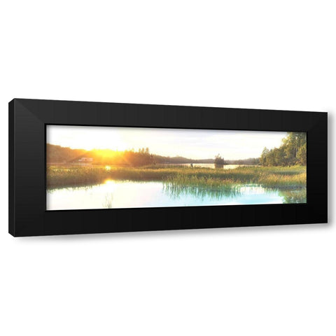 Sunny Marsh 2 Black Modern Wood Framed Art Print with Double Matting by Prime, Marcus