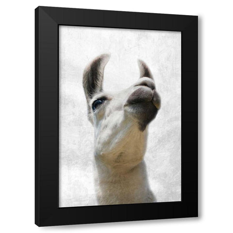 Pondering Lama Black Modern Wood Framed Art Print by Prime, Marcus