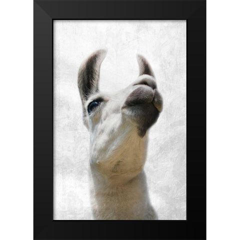 Pondering Lama Black Modern Wood Framed Art Print by Prime, Marcus
