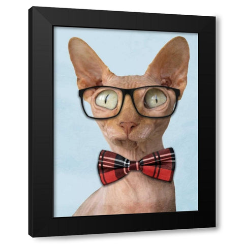 Sophisticated Sphynx Black Modern Wood Framed Art Print with Double Matting by Prime, Marcus