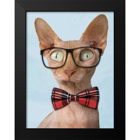 Sophisticated Sphynx Black Modern Wood Framed Art Print by Prime, Marcus