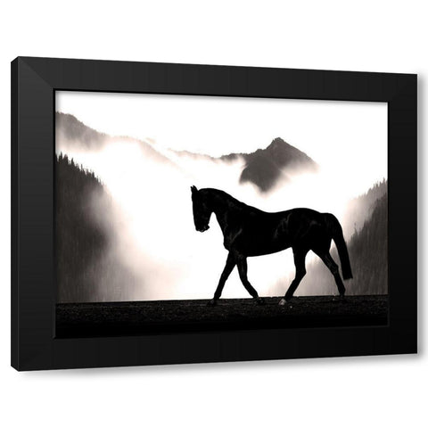 Wandering Horse Black Modern Wood Framed Art Print with Double Matting by Prime, Marcus