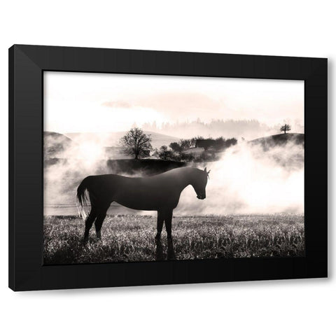 Wandering Horse 2 Black Modern Wood Framed Art Print by Prime, Marcus