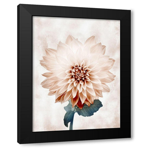 Desired Growth Black Modern Wood Framed Art Print by Prime, Marcus