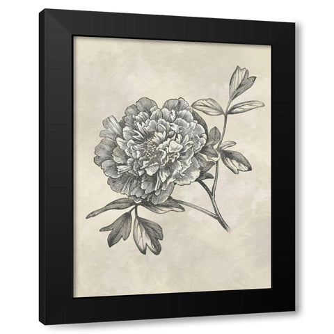 Muted Floral Sketches 1 Black Modern Wood Framed Art Print by Prime, Marcus