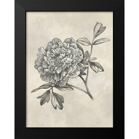 Muted Floral Sketches 1 Black Modern Wood Framed Art Print by Prime, Marcus