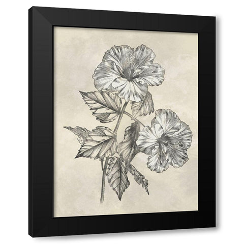 Muted Floral Sketches 2 Black Modern Wood Framed Art Print with Double Matting by Prime, Marcus