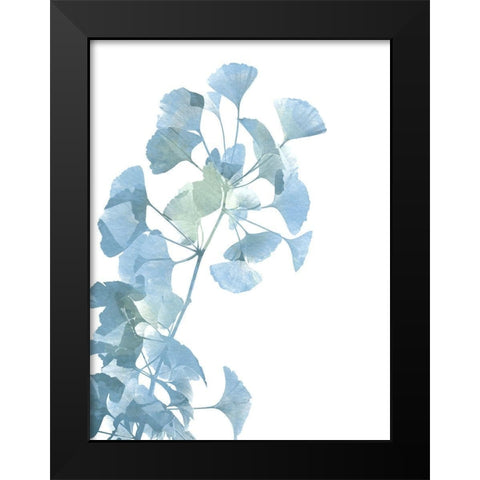 Ginko Life 1 Black Modern Wood Framed Art Print by Prime, Marcus