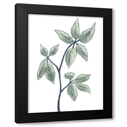 Illustrated Botanicals Black Modern Wood Framed Art Print by Prime, Marcus