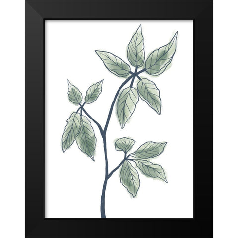 Illustrated Botanicals Black Modern Wood Framed Art Print by Prime, Marcus